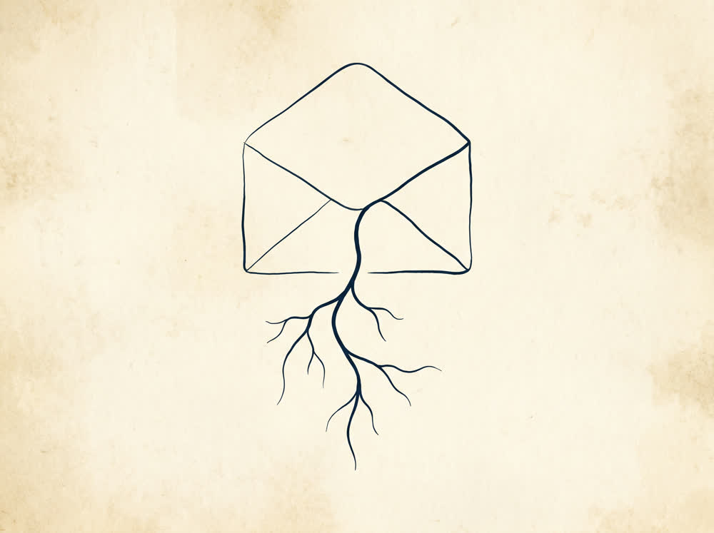 Abstract line illustration of an open envelope with a single branching root line beneath it